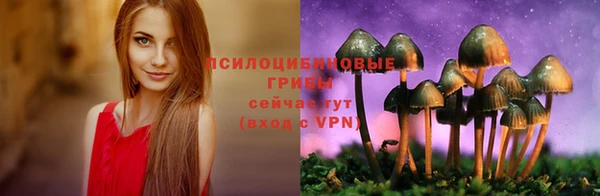 крисы Касимов