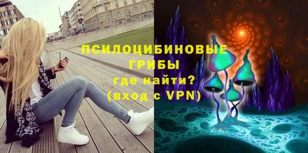 крисы Касимов