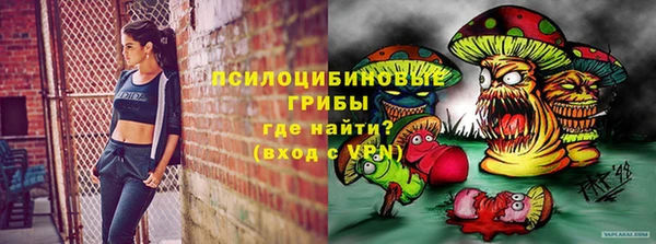 mdpv Карпинск