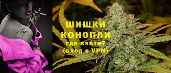 крисы Касимов