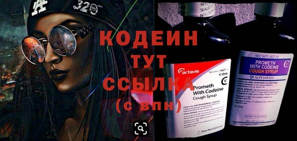 крисы Касимов